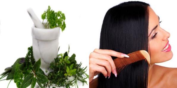 herbal-hair-loss-treatment