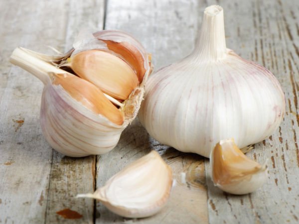 30 1443611470 8 garlic