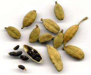 cardamom