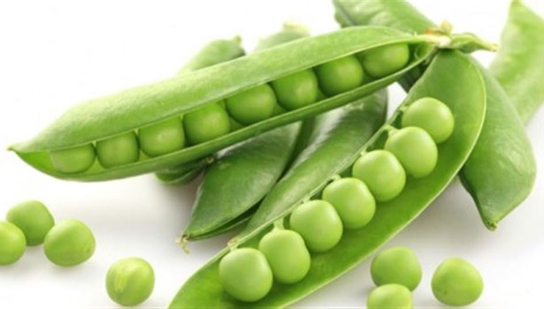 201608200851270513 Green peas against cancer SECVPF