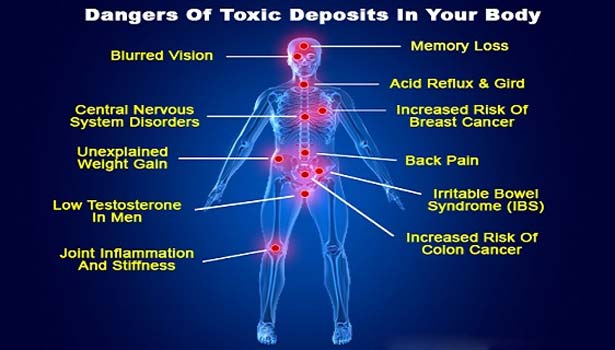 201610111347052252 Remove toxins in the body SECVPF