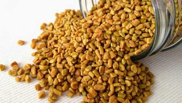 201612021002216970 Fenugreek to reduce fat in the body SECVPF