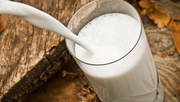 201701211444431671 Hybrid cow milk drinking impacts SECVPF