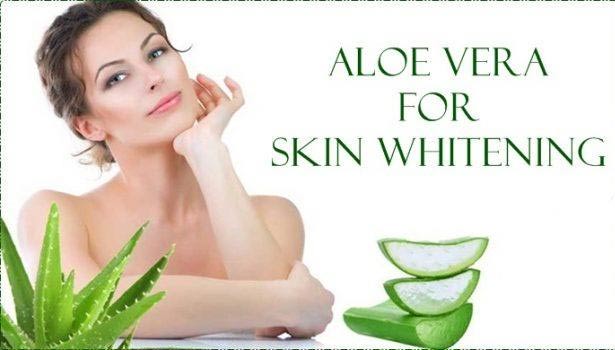 201705291334277228 How to use aloe vera to protect skin SECVPF