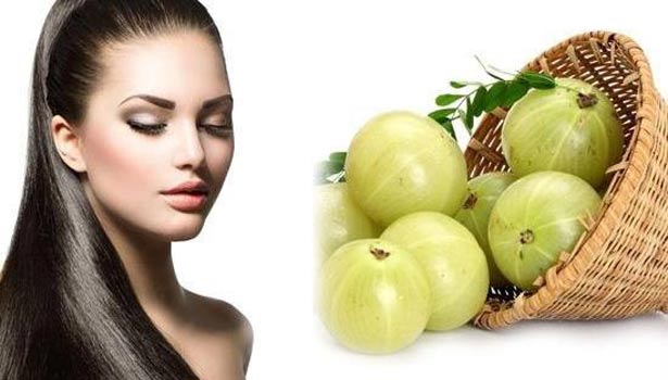 201706141443360422 amla hair oil for hair growth SECVPF