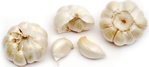 garlic 1