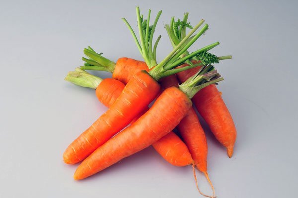 carrot