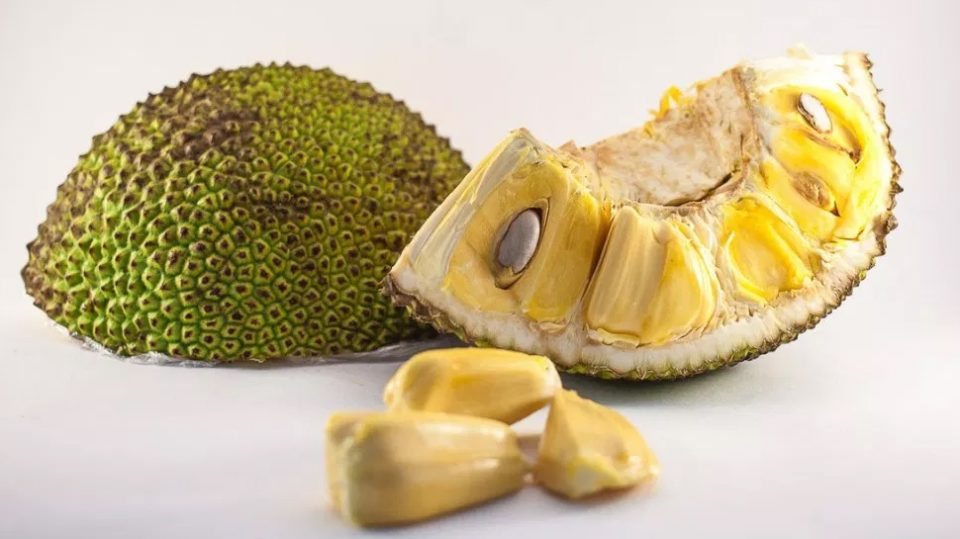 jackfruit