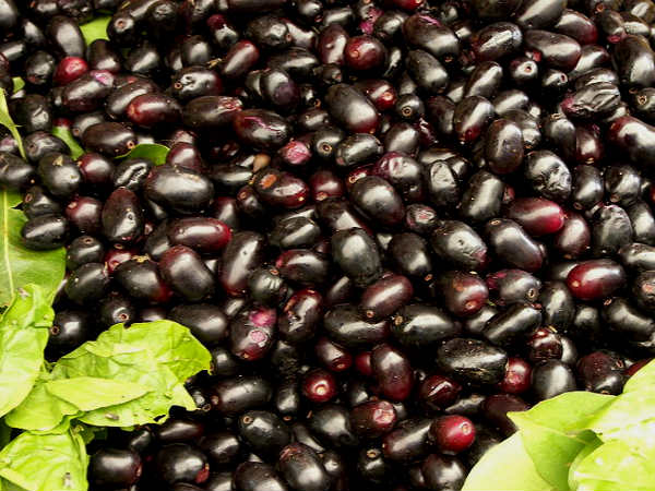 jamun