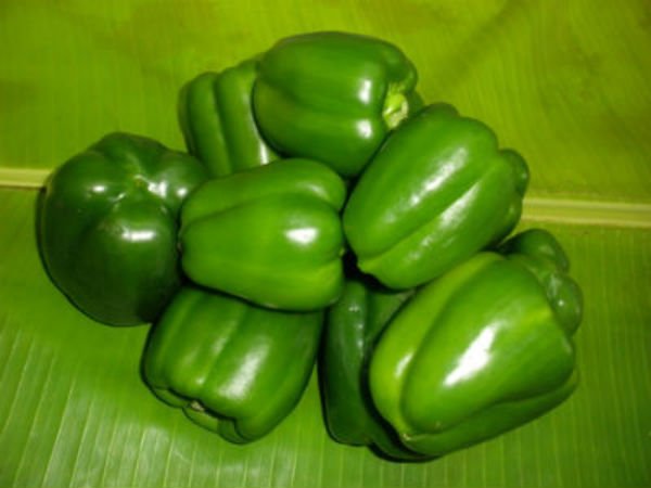 19 green capsicum