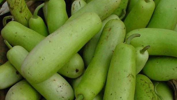 Bottle Gourd Curry benefits SECVPF