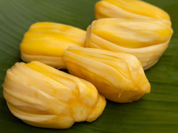 jackfruit