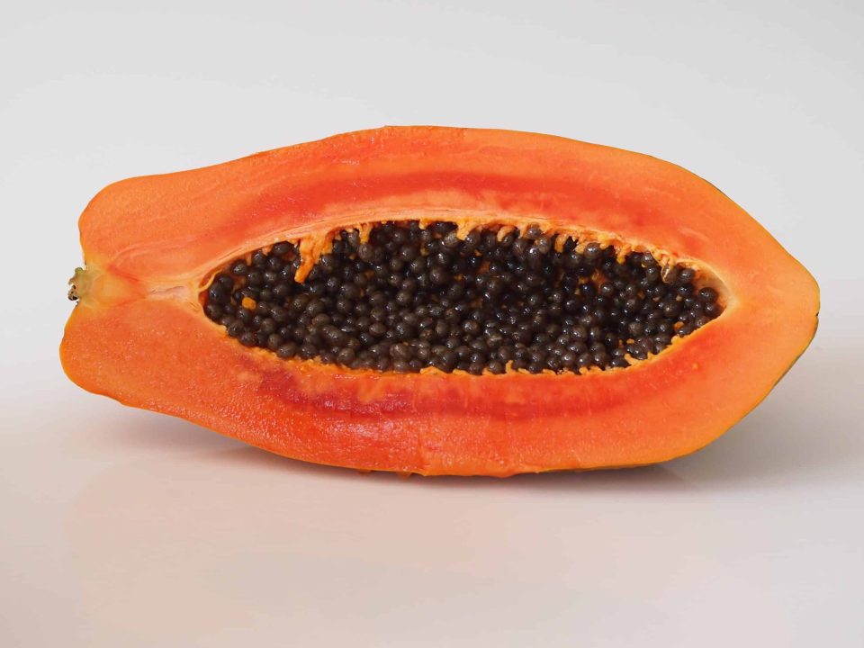 Papaya for Babies s