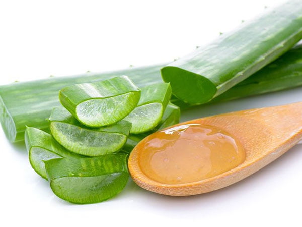 aloevera 162