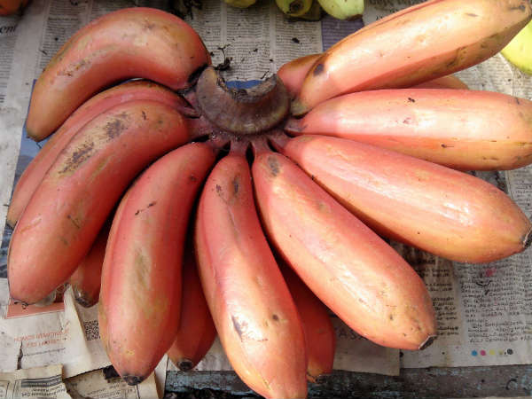 red banana