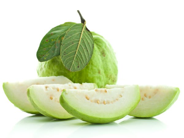 guavaleaves