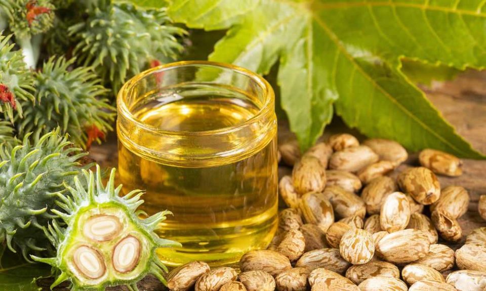 1644313702 castor oil in tamil