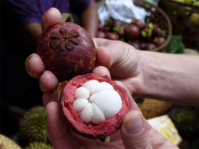 Mangosteen payangal