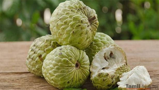 Tamil News Custard Apple Health