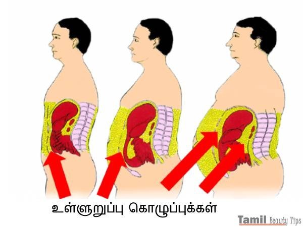 stomach fat 16