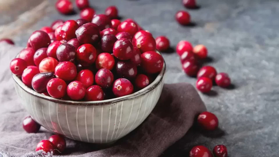 cranberries 101 1296x728 feature