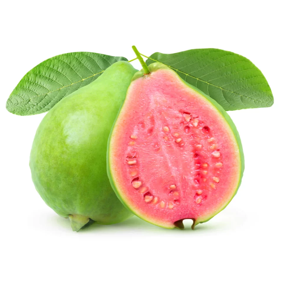 guava 1024x1024