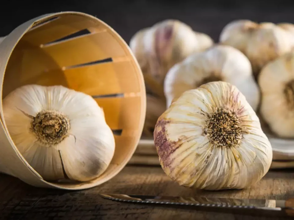 Disadvantages of Eating Garlic