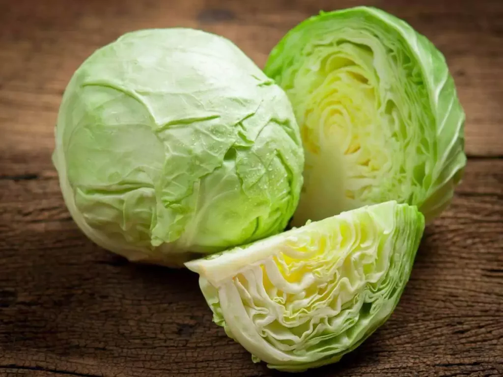 does cabbage help lose weight 79337592
