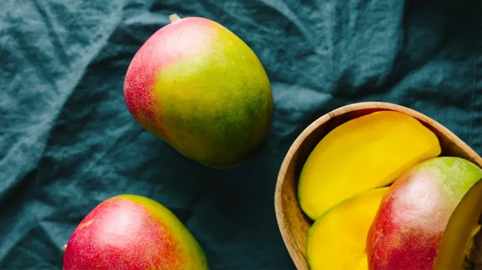 mango mangos