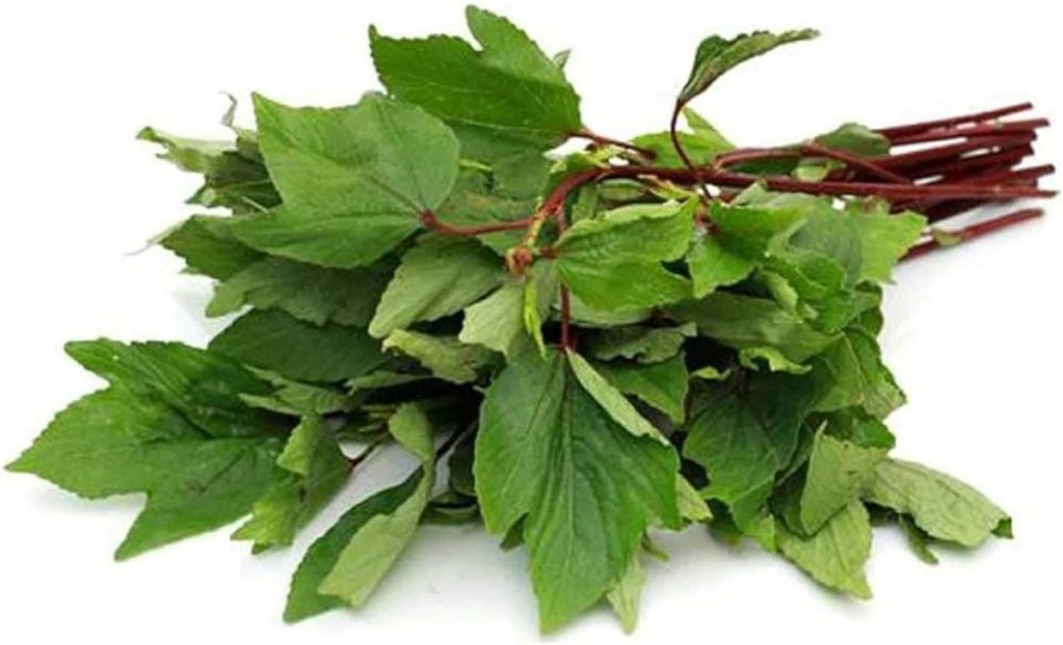 gongura in tamil