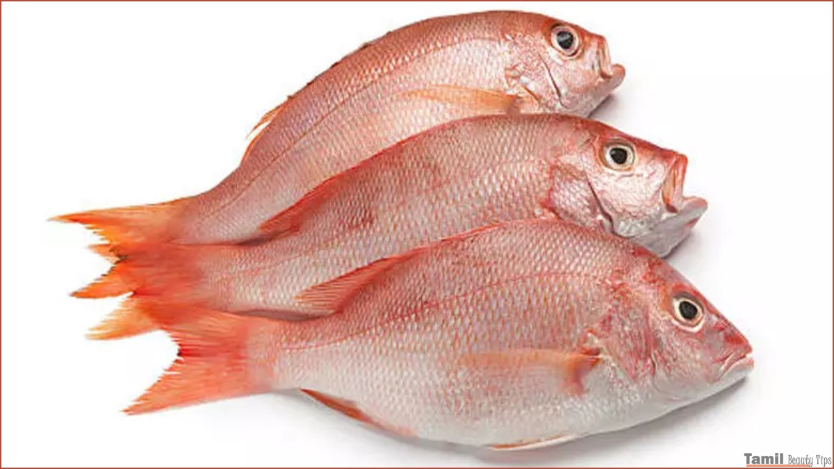 red snapper in tamil