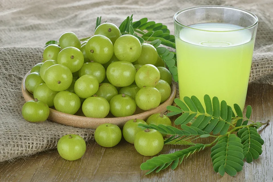 12 health benefits of amla juice Sri Sri Tattva